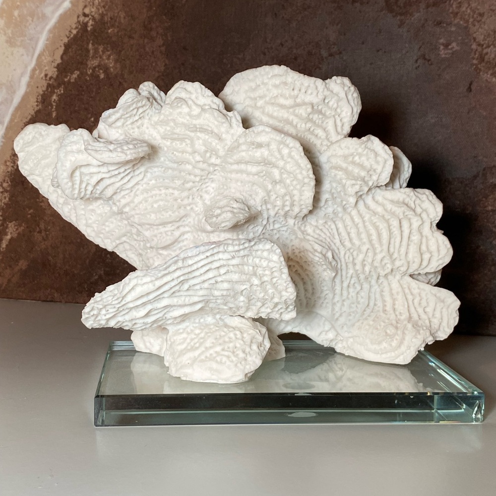 White Coral Sculpture Home Decor Sea Ocean vibes